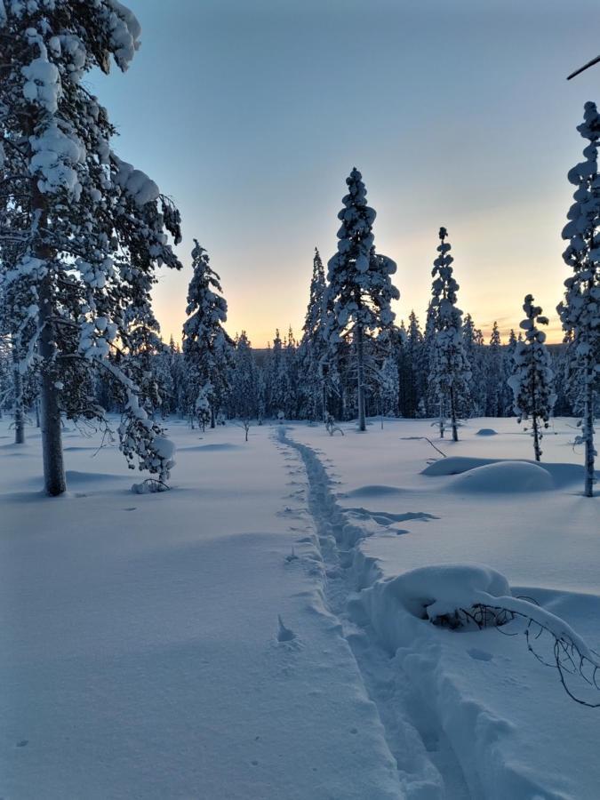 Villanorva Saarenkylä المظهر الخارجي الصورة