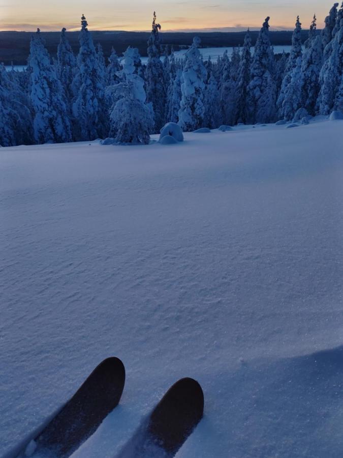 Villanorva Saarenkylä المظهر الخارجي الصورة