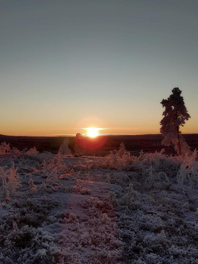 Villanorva Saarenkylä المظهر الخارجي الصورة