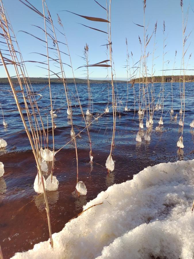 Villanorva Saarenkylä المظهر الخارجي الصورة