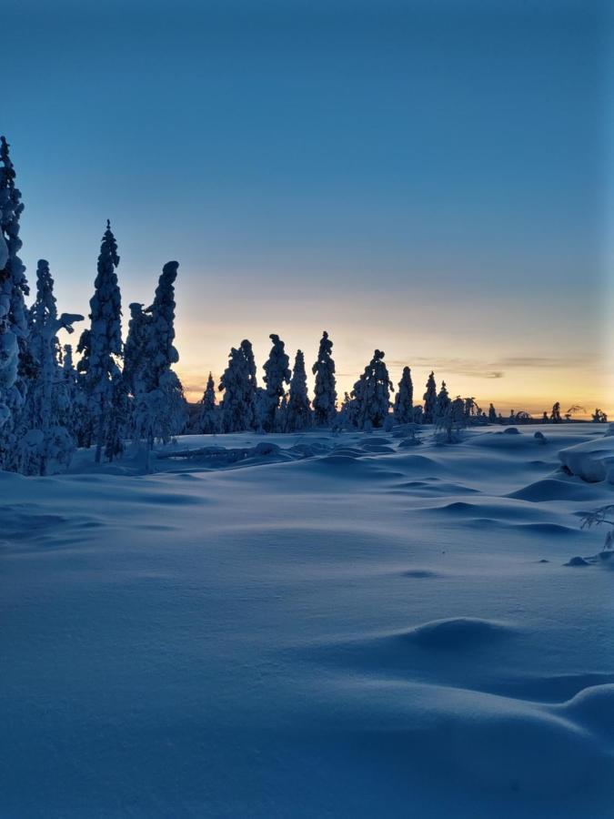 Villanorva Saarenkylä المظهر الخارجي الصورة