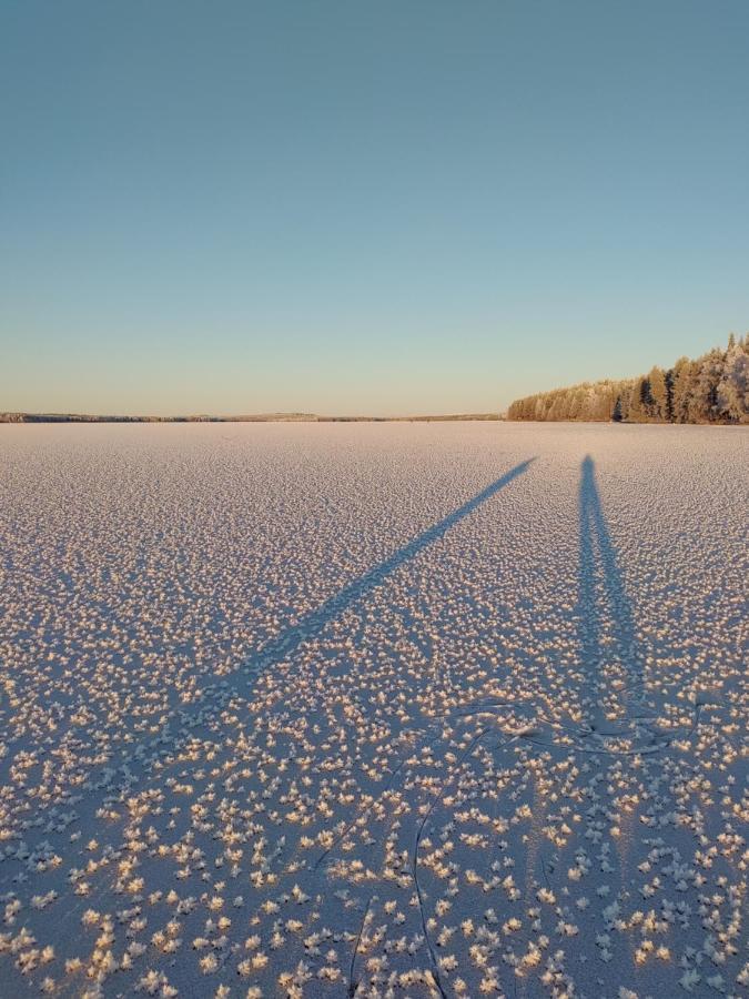 Villanorva Saarenkylä المظهر الخارجي الصورة